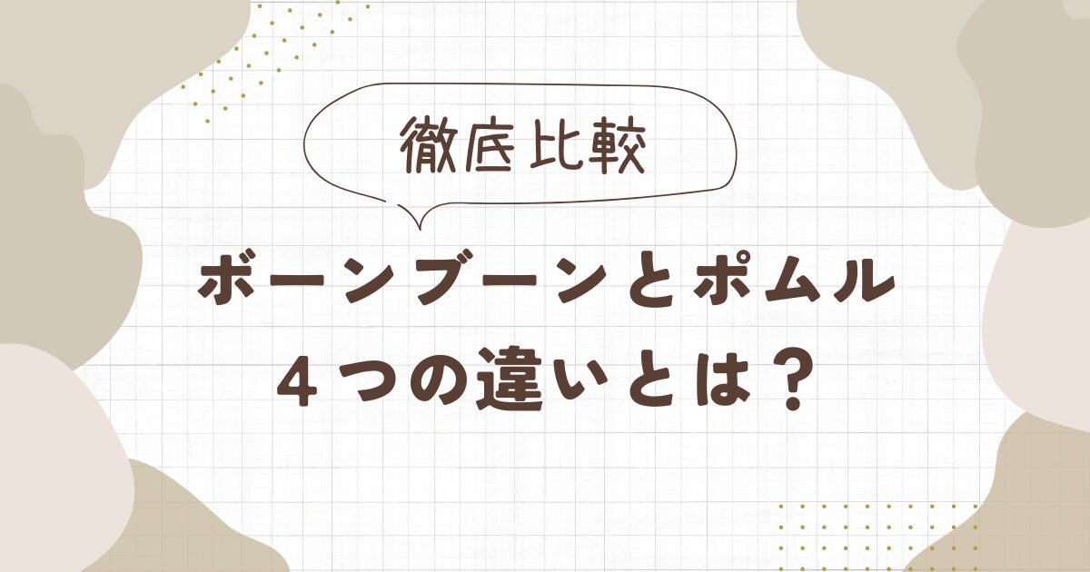 ボーンブーンとポムルの違いを比較したら4つあった